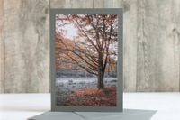 Trauerkarte Herbstbaum